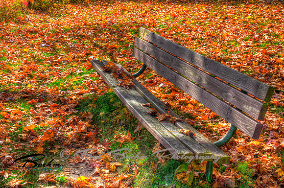 Johnson Sauk Bench 1