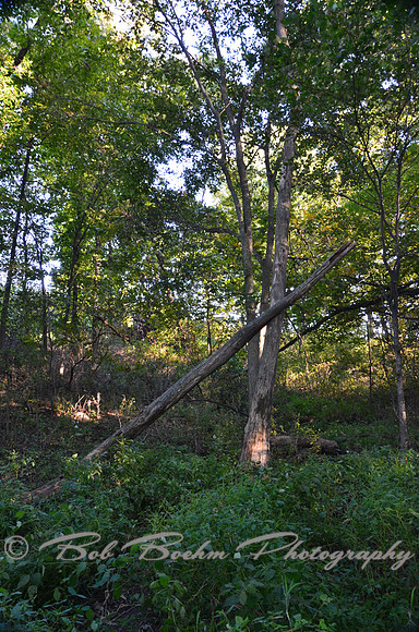 Sep232012_4098