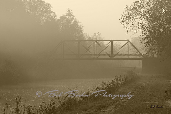 Out of the Fog