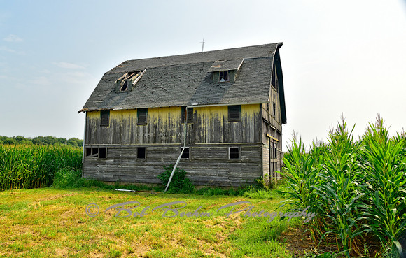 Warden Barn - Locust Grove Farm