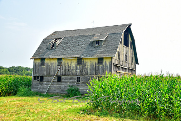 Warden Barn
