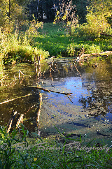 Sep232012_4133