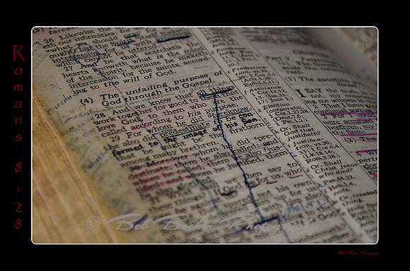 Romans 8_28