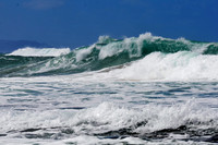 Polihale Curl