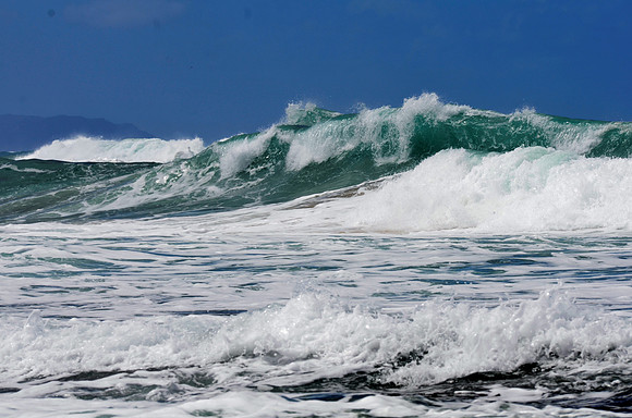 Polihale Curl