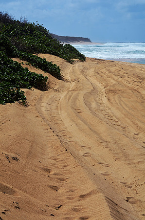 Tracks II