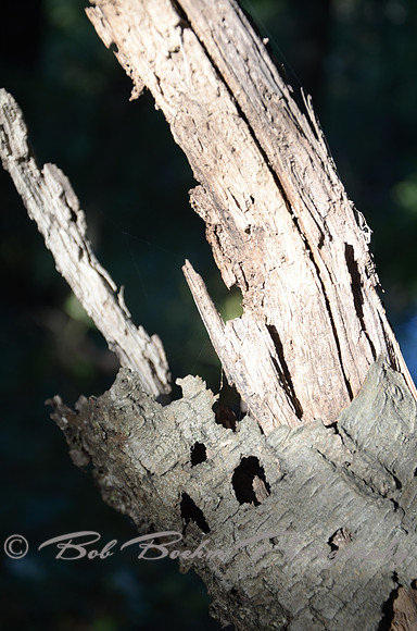 Sep232012_4112
