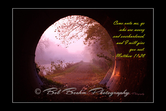 Through The Tunnel