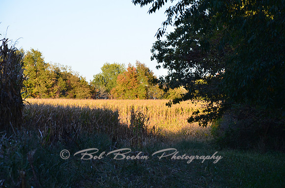 Sep232012_4131
