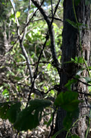 Sep232012_4083