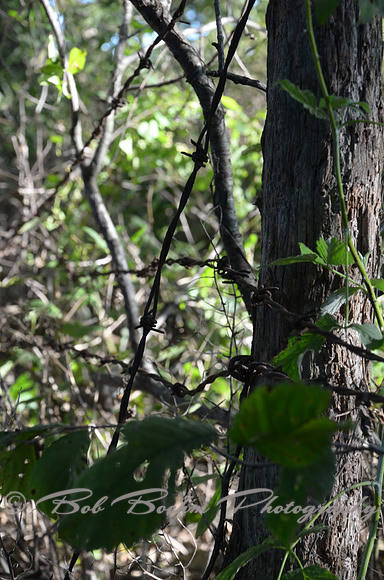 Sep232012_4083