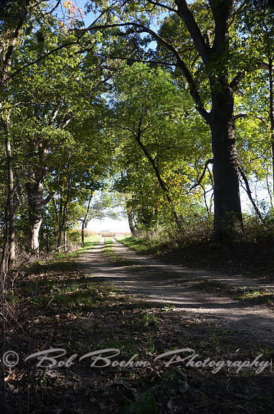 Sep232012_4077