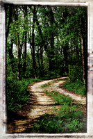 Dirt Road 3 a1