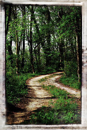 Dirt Road 3 a1