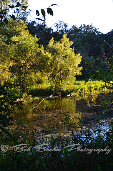 Sep232012_4132