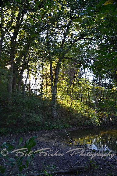 Sep232012_4102