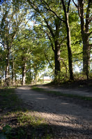 Sep232012_4088