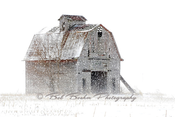 Near Blizzard Conditions