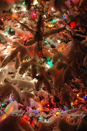 Christmas Up Close