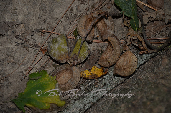 Sep232012_4109
