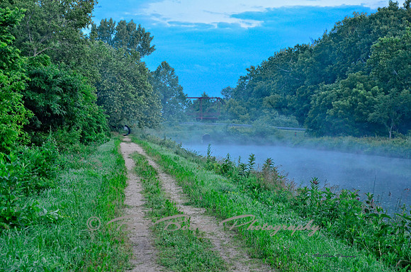 Misty Pathway