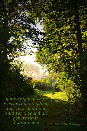 A Beautiful Kingdom Awaits