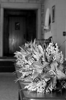 DSC_9850 BW