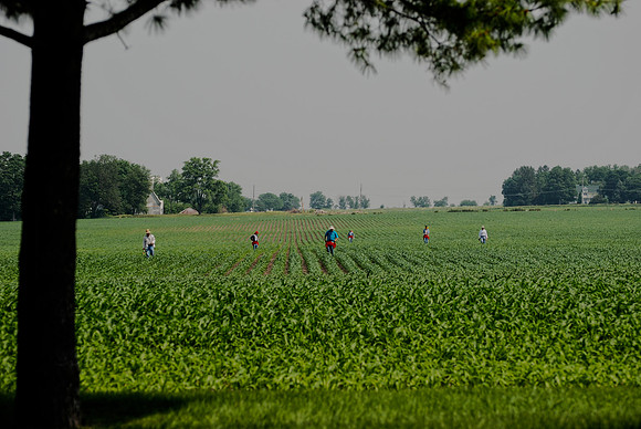 061511 Field Work II