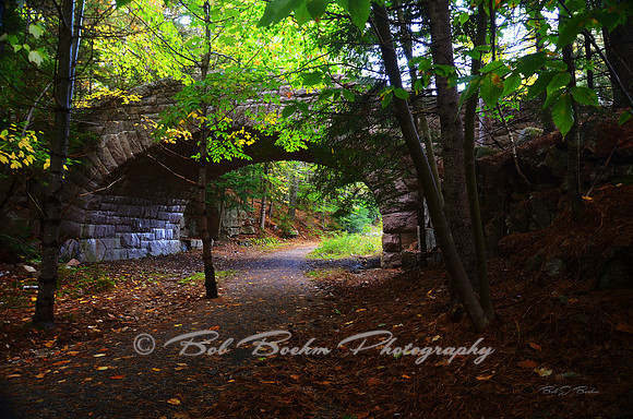 Carriage Road Acadia National Park, Maine