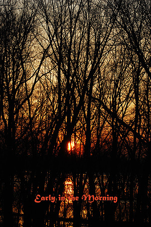 031211 Early in the Morning