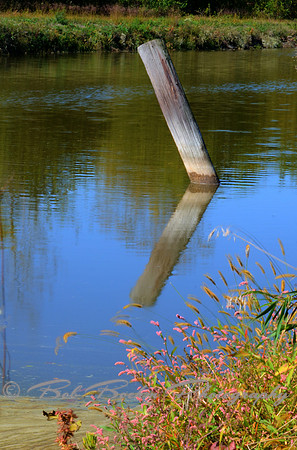 100611 Reflective Direction