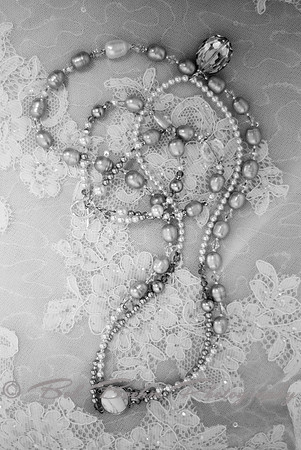 DSC_9300 BW