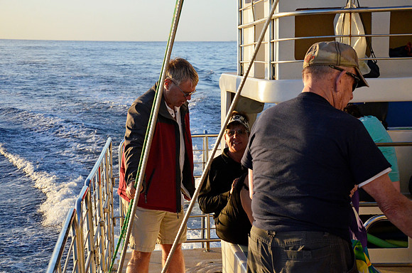 Getting My Sea Legs Back