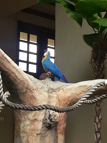 20150208_115527