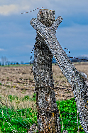 050311 Untitled