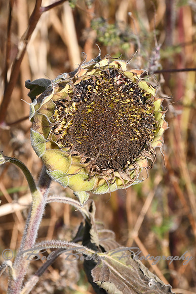 750_8486