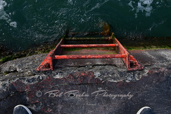 750_8164
