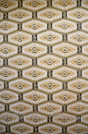 _BJB5842