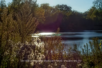 Psalm 46 10 Amherst bright