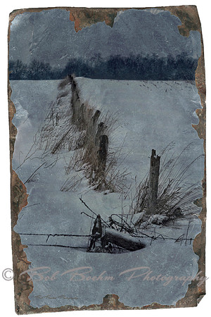 Fenceline Tin Type