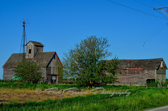 _BJB5428