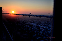 First Light of Day