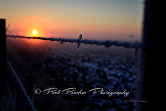 First Light of Day
