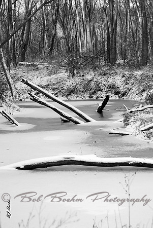 Winter in Black & White