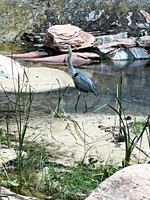 IMG_1406