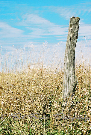 Farm Country