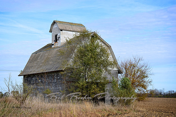 Barn