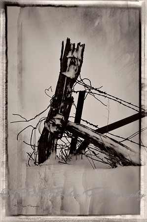The Ole Fence Post
