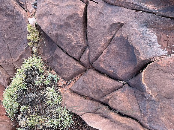 IMG_2107