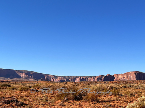 IMG_2480